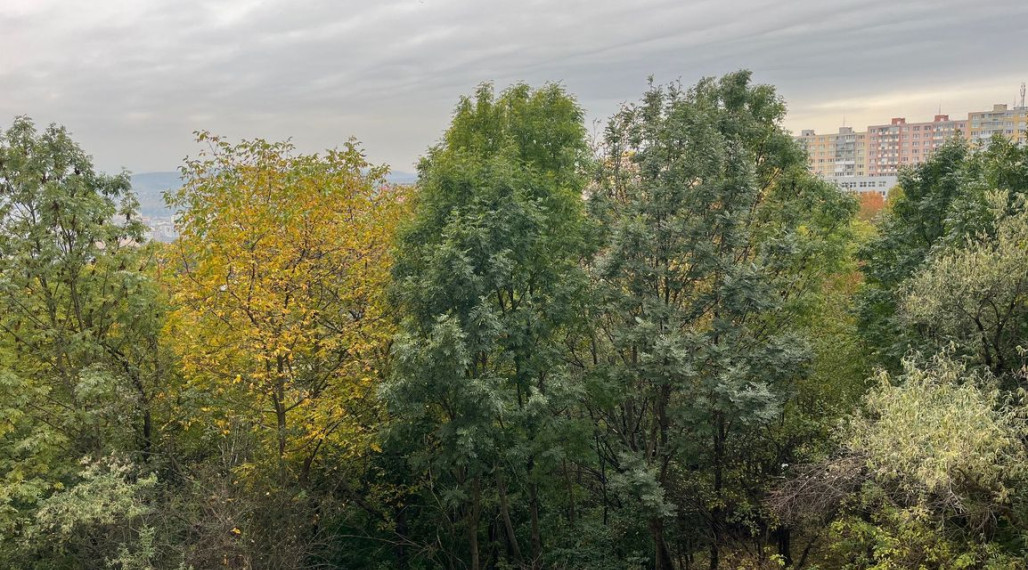 ***NOVINKA*** MODERNÝ, KRÁSNY 3 IZBOVÝ BYT S LOGGIOU