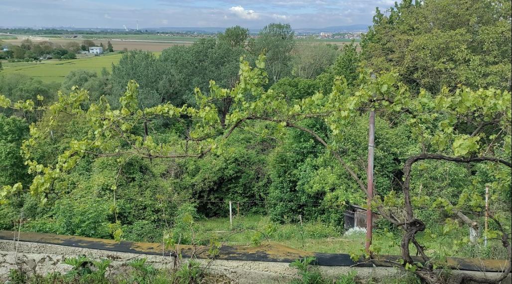 NA PREDAJ ZÁHRADNÁ CHATKA + POZEMOK, záhradkárska lokalita Nižná Hutka