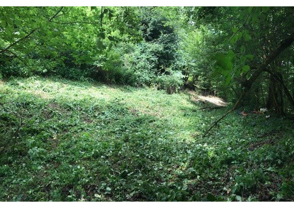 Na predaj pozemok pre rekreačné účely blízko Košíc