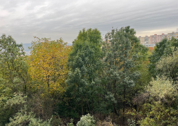 ***NOVINKA*** MODERNÝ, KRÁSNY 3 IZBOVÝ BYT S LOGGIOU