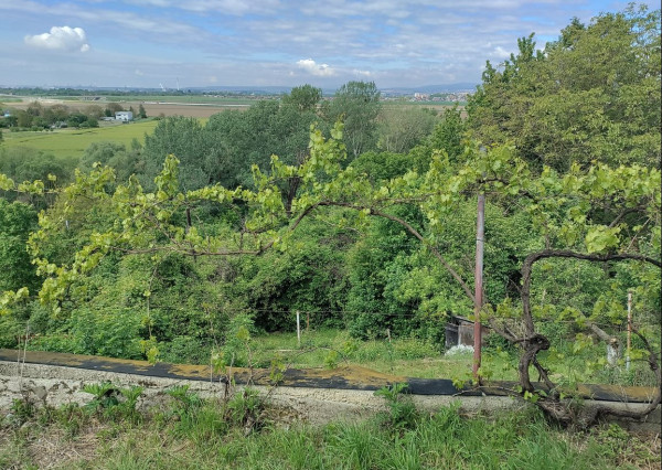 NA PREDAJ ZÁHRADNÁ CHATKA + POZEMOK, záhradkárska lokalita Nižná Hutka